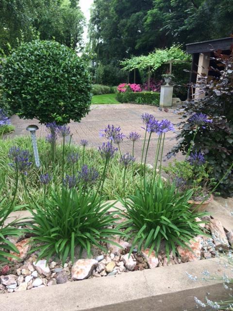 Agapanthus Bed And Breakfast Hoogkarspel Buitenkant foto